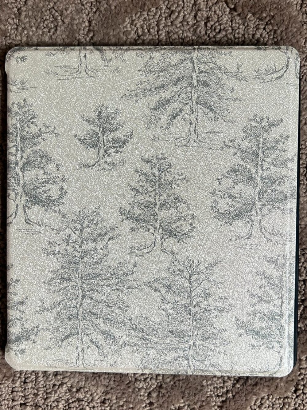 Page the Shop "Out of the Woods" Kindle Oasis Case (9th/10th Gen) — Like New